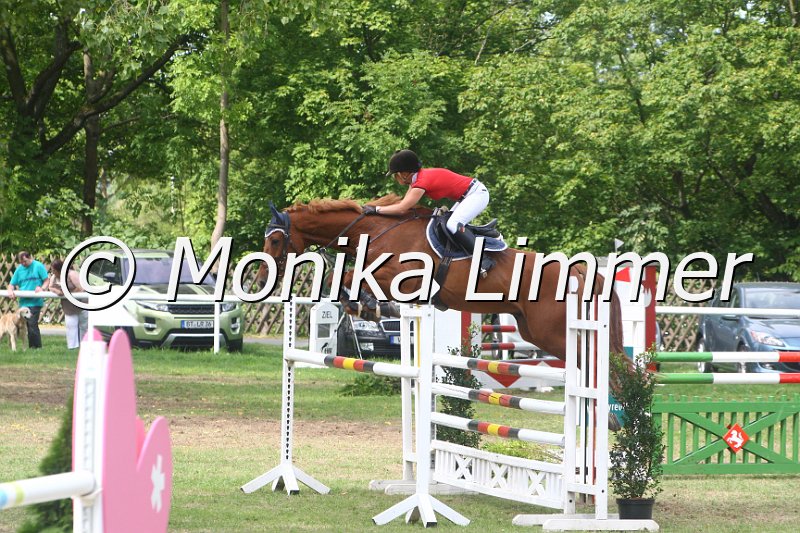 308M5169_Capigadon_Springpferde Mx.JPG